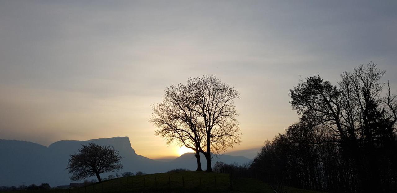 Gite Clair, Spacieux Et Cosy Avec Vue Sur Le Massif De La Chartreuse Sainte-Helene-du-Lac Luaran gambar