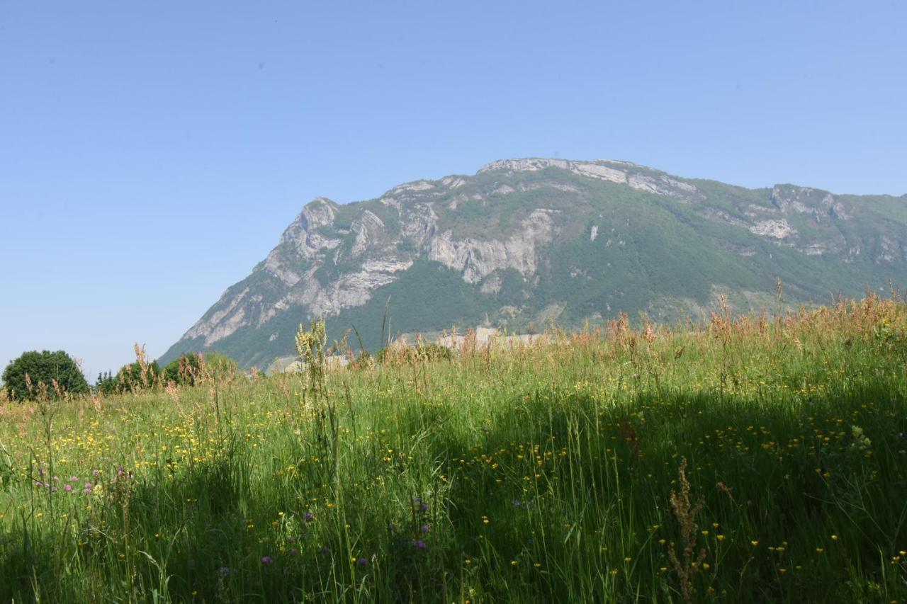 Gite Clair, Spacieux Et Cosy Avec Vue Sur Le Massif De La Chartreuse Sainte-Helene-du-Lac Luaran gambar